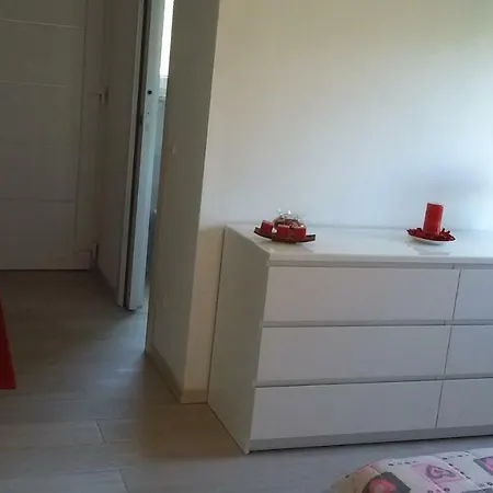 Sissi House Flowers غْرافيدونا